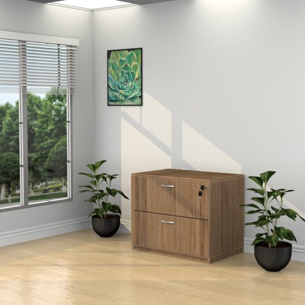 2 Drawer Lateral File - Various Colors