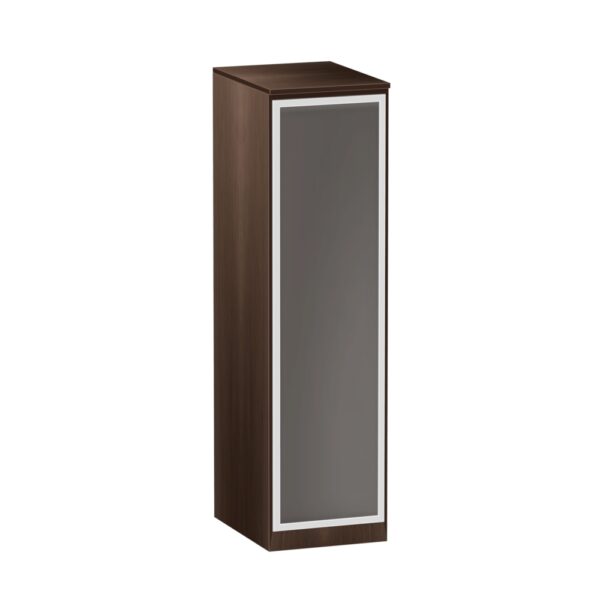 Single Door Personal Organizer with Glass Door - Various Colors - Image 4